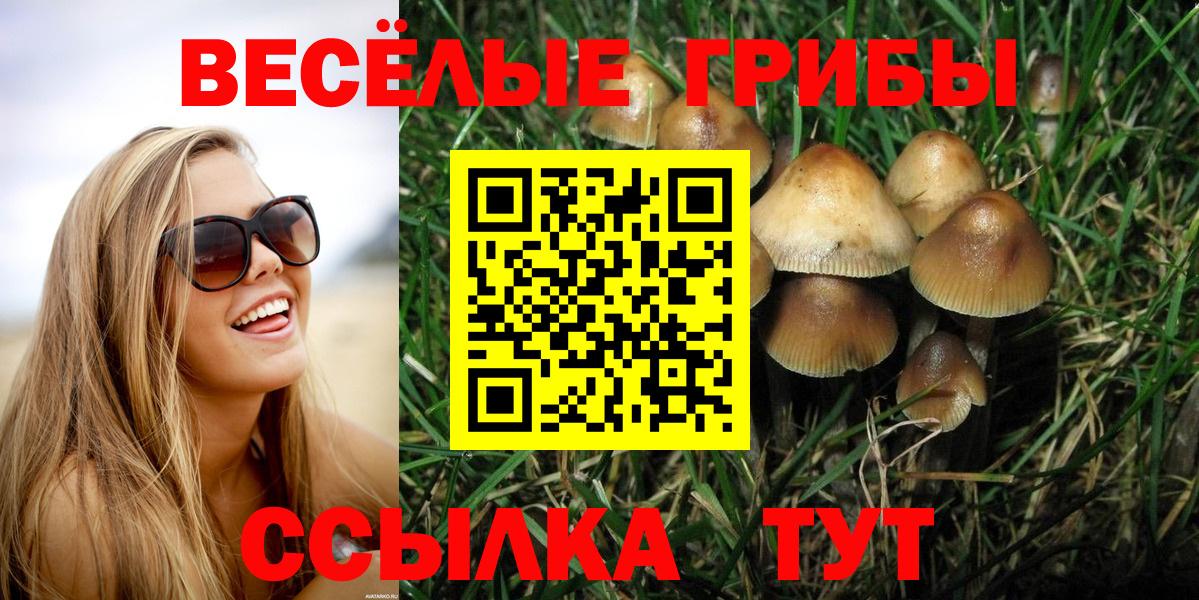 Псилоцибиновые грибы мицелий Валуйки