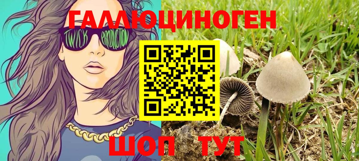 Валуйки  Галлюциногенные грибы Magic Shrooms  Вход с VPN  Галлюциногенные грибы мицелий 